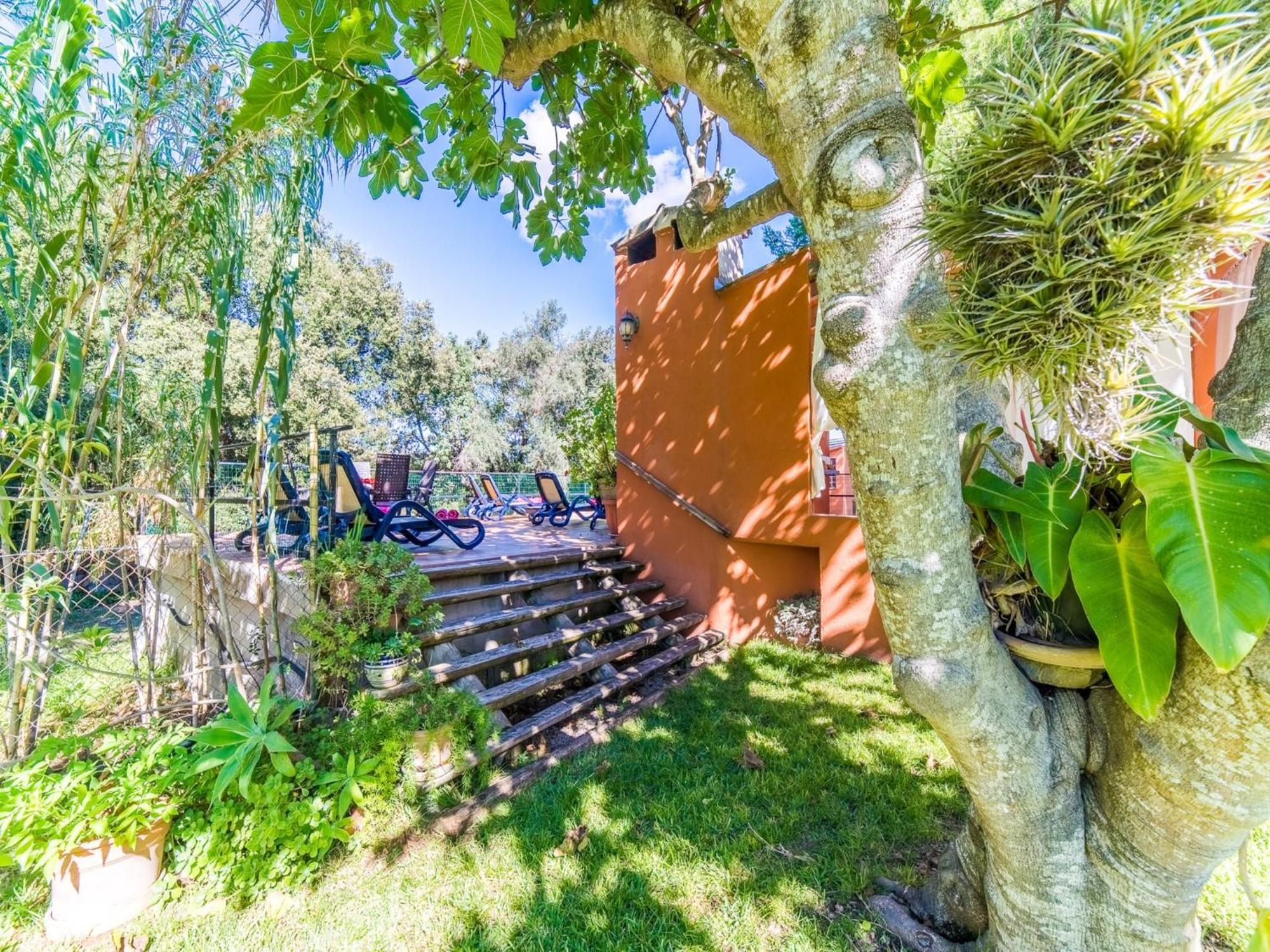 Finca In Mallorca With Private Pool Búger Exteriér fotografie